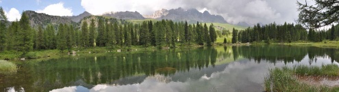 Скинали для кухни:  - изображение 61502