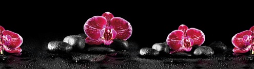 Скинали для кухни:  - изображение 30552