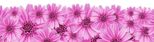 Скинали для кухни:  - изображение 139214