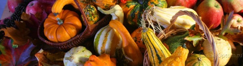 Скинали для кухни:  - изображение 133564