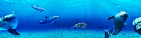 Скинали для кухни:  - изображение 136228