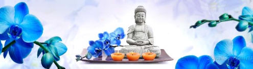 Скинали для кухни:  - изображение 124816