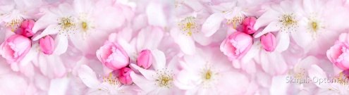 Скинали для кухни:  - изображение 132704
