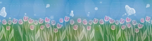 Скинали для кухни:  - изображение 137778