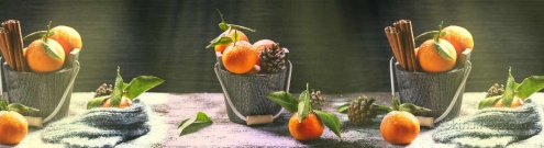 Скинали для кухни:  - изображение 125956