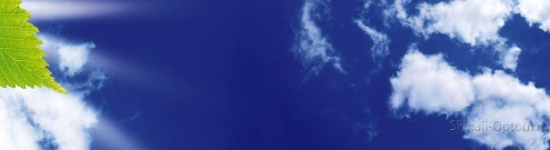 Скинали для кухни:  - изображение 138236