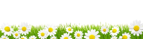Скинали для кухни:  - изображение 138540