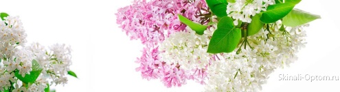 Скинали для кухни:  - изображение 80612