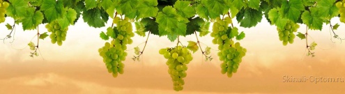 Скинали для кухни:  - изображение 61828