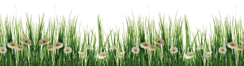 Скинали для кухни:  - изображение 62624
