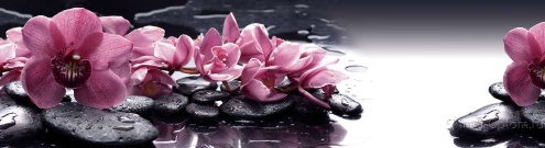 Скинали для кухни:  - изображение 30456