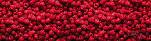 Скинали для кухни:  - изображение 144390