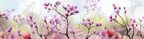 Скинали для кухни:  - изображение 62686
