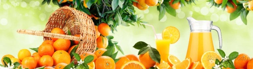 Скинали для кухни:  - изображение 147228