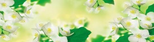 Скинали для кухни:  - изображение 130962