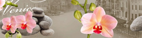 Скинали для кухни:  - изображение 147486