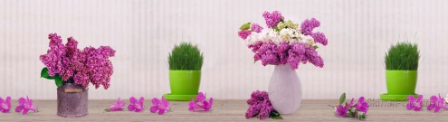 Скинали для кухни:  - изображение 125068