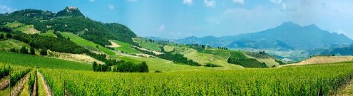 Скинали для кухни:  - изображение 123660