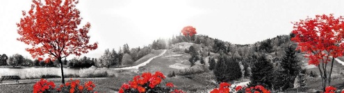 Скинали для кухни:  - изображение 124646