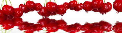 Скинали для кухни:  - изображение 62114