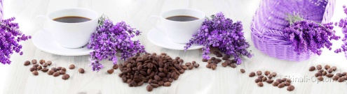 Скинали для кухни:  - изображение 124694