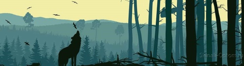 Скинали для кухни:  - изображение 73104