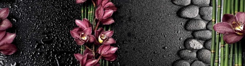 Скинали для кухни:  - изображение 30660