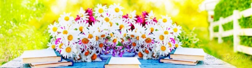 Скинали для кухни:  - изображение 158404