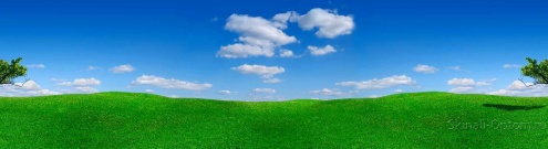 Скинали для кухни:  - изображение 61526