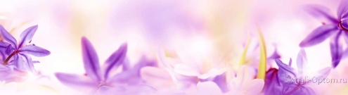 Скинали для кухни:  - изображение 148548