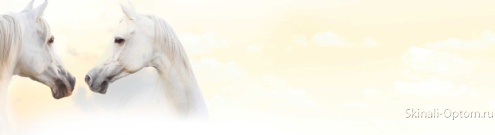 Скинали для кухни:  - изображение 35124