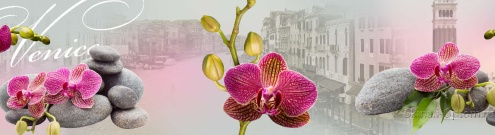 Скинали для кухни:  - изображение 136604