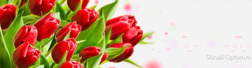 Скинали для кухни:  - изображение 137344