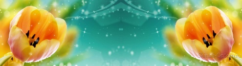Скинали для кухни:  - изображение 132920