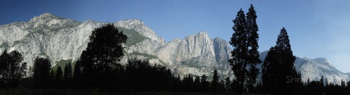 Скинали для кухни:  - изображение 123724
