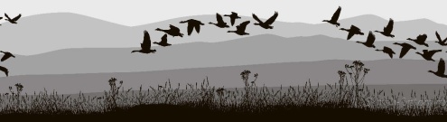 Скинали для кухни:  - изображение 63438
