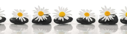 Скинали для кухни:  - изображение 31274