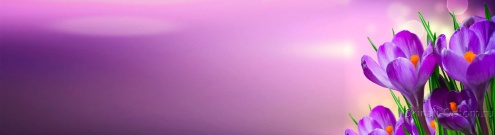 Скинали для кухни:  - изображение 139284