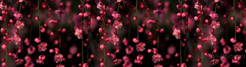 Скинали для кухни:  - изображение 134744