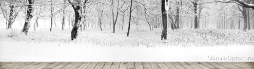 Скинали для кухни:  - изображение 132900
