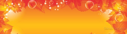 Скинали для кухни:  - изображение 161120