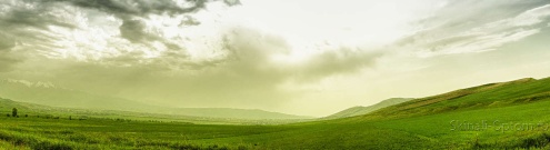Скинали для кухни:  - изображение 61600