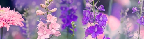 Скинали для кухни:  - изображение 139490