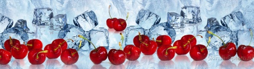 Скинали для кухни:  - изображение 136482