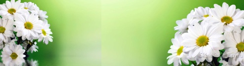Скинали для кухни:  - изображение 139306