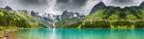 Скинали для кухни:  - изображение 135776