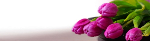 Скинали для кухни:  - изображение 137266
