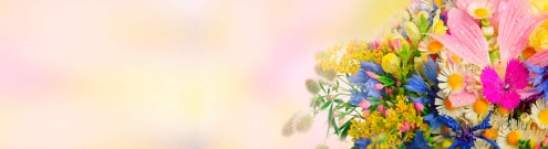 Скинали для кухни:  - изображение 139264