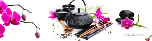 Скинали для кухни:  - изображение 133822