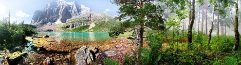 Скинали для кухни:  - изображение 148072